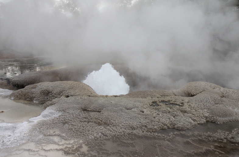 geyser